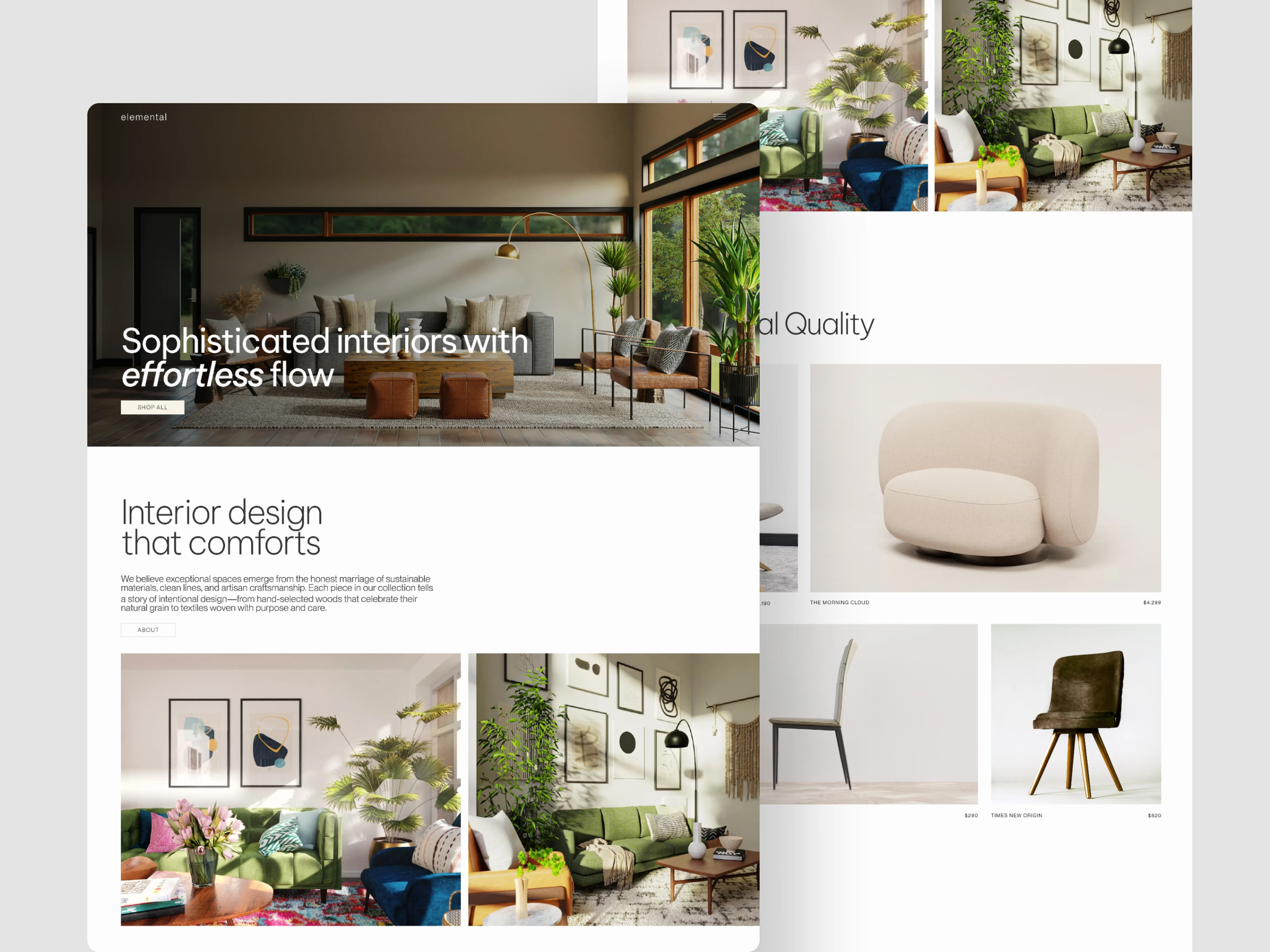Professional Website Design & Management mock