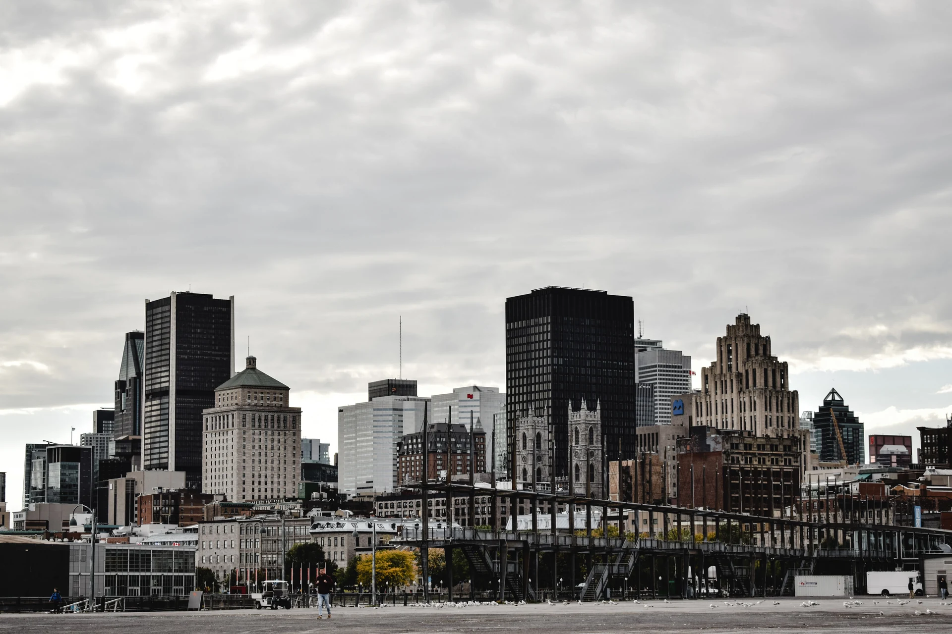 Les immeubles du centre-ville de Montréal vus du bord de l’eau.